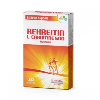 L-CARNITINE 500 KAPSULE A30