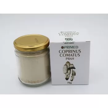 Primed Coprinus Comatus prah 70g