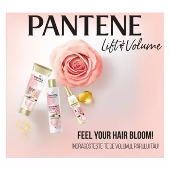 Pantene set Pro-V PureLift šampon 250ml + balzam 160ml + ulje 145ml