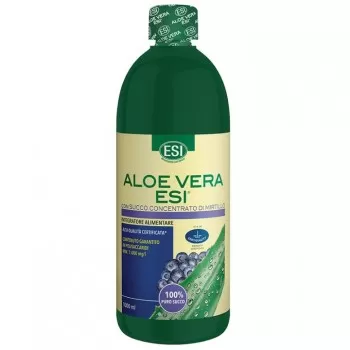 Aloe Vera sok sa borovnicom 1l