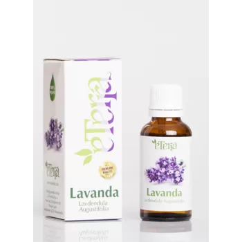 Eterra ulje lavande 30ml