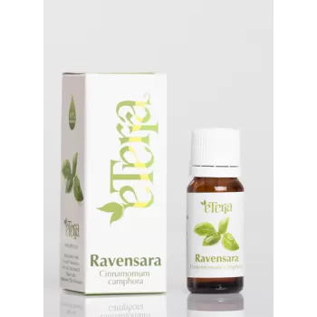 Eterra Ravensara ulje 10ml