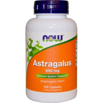 NOW Astragalus 500mg 100 kapsula