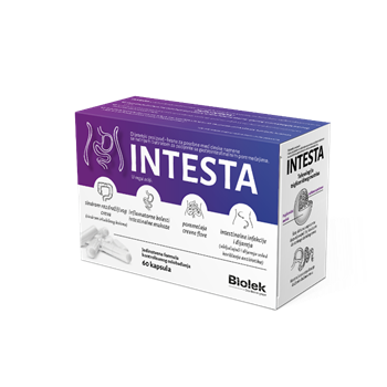 INTESTA KAPSULE A60