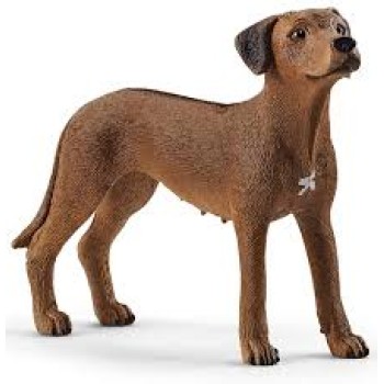 Schleich pas rodezijski ridžbek 13895