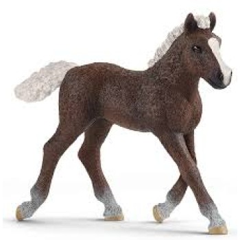 Schleich ždrebe Black Forest 13899