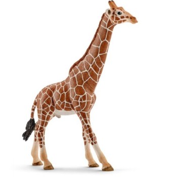 Schleich žirafa mužjak