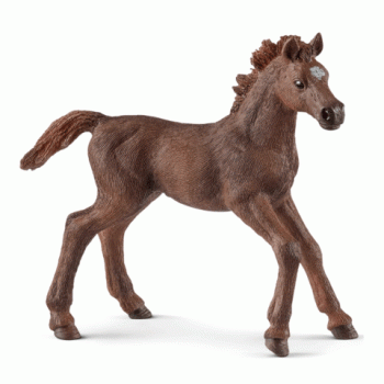 Schleich englesko ždrebe