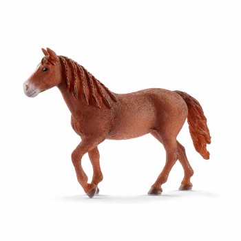 Schleich Morgan kobila