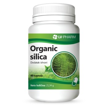 LV-ORGANIC SILICA CPS A60