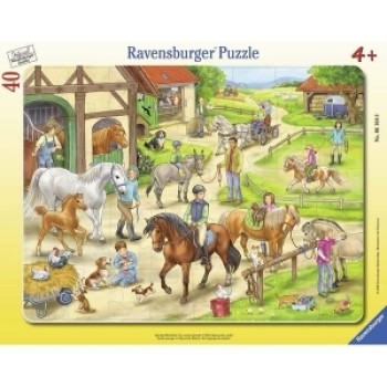 Ravensburger puzzle dan na rancu 06164