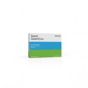 Salvit Gastricon 240mg 30 kapsula