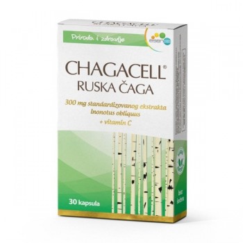 CHAGACELL RUSKA ČAGA KAPSULE A30