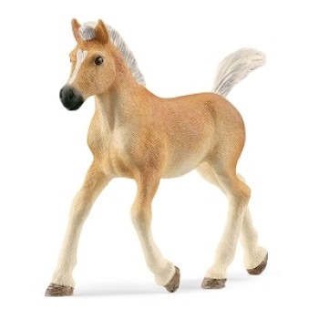 Schleich ždrebe Haflinger 13951