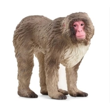 Schleich japanski majmun 14871