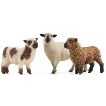 Schleich set ovce 42660