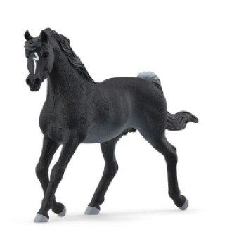 Schleich Arabian pastuv 13981