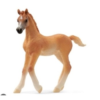Schleich Arabian ždrebe 13984