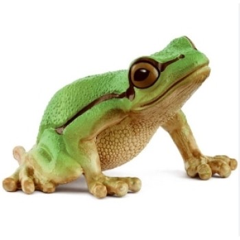 Schleich evropska žaba 14882