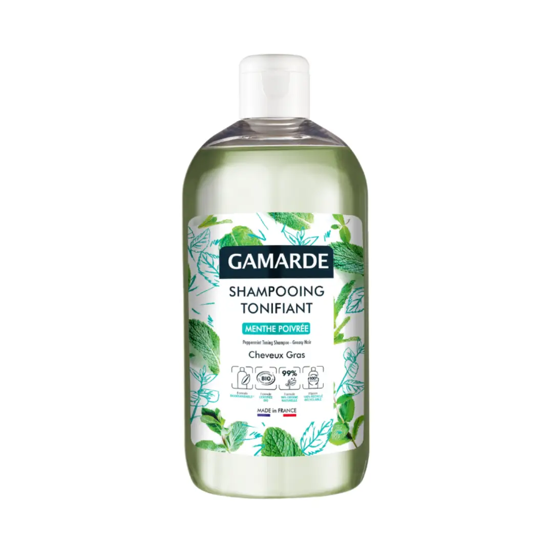 GAMARDE Šampon za masnu kosu 2405 500 ml
