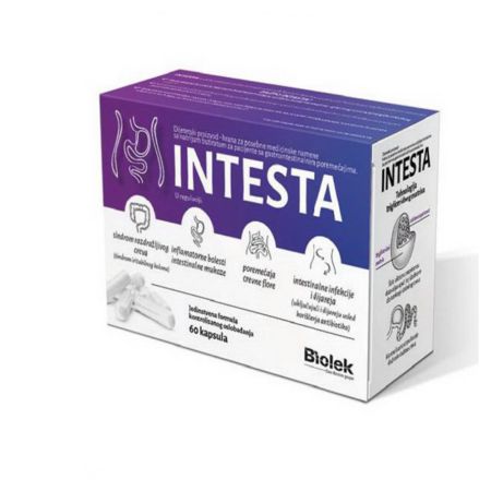 Intesta kapsule 60 kom