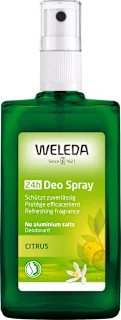 24h Deo sprej - CITRUS, 100 ml