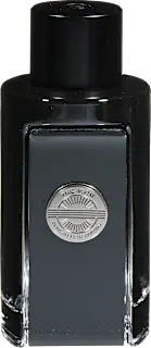 Antonio Banderas The Icon parfemska voda za muškarce 100ml